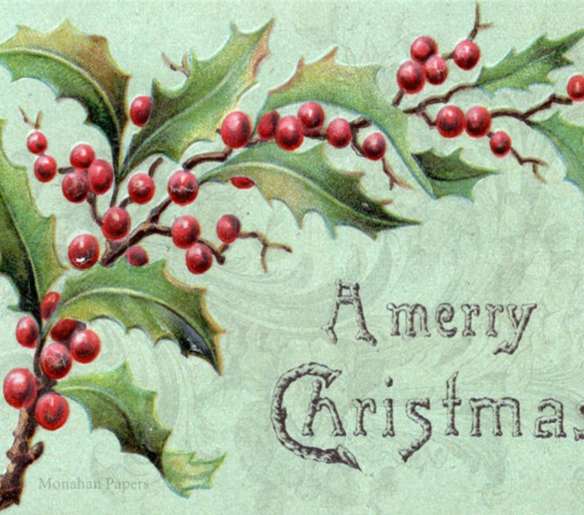 A Merry Christmas Holly Vine (047) C321