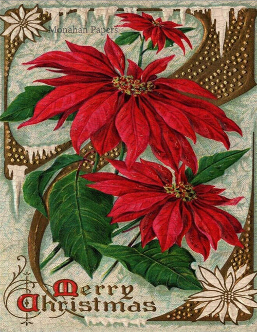 Merry Christmas Poinsettia Bundle (047) C357