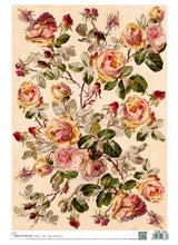 Vintage Roses on Peach Background
