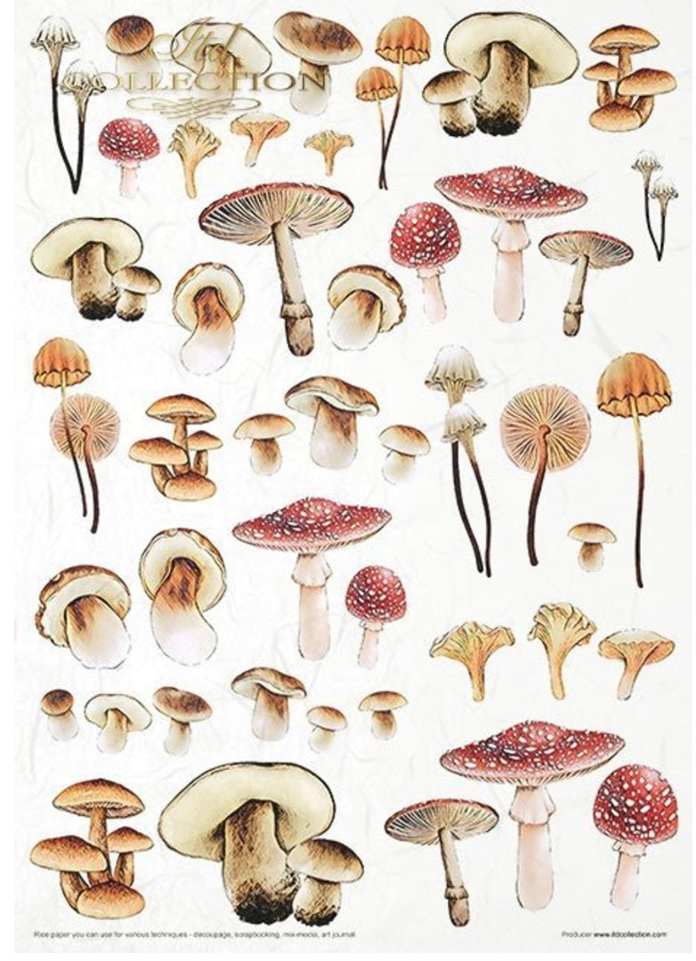 Mysterious Forest 11 Pack Rice Papers