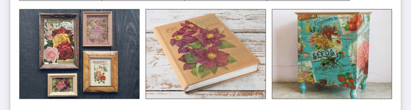 Seed Catalog  IOD Transfer