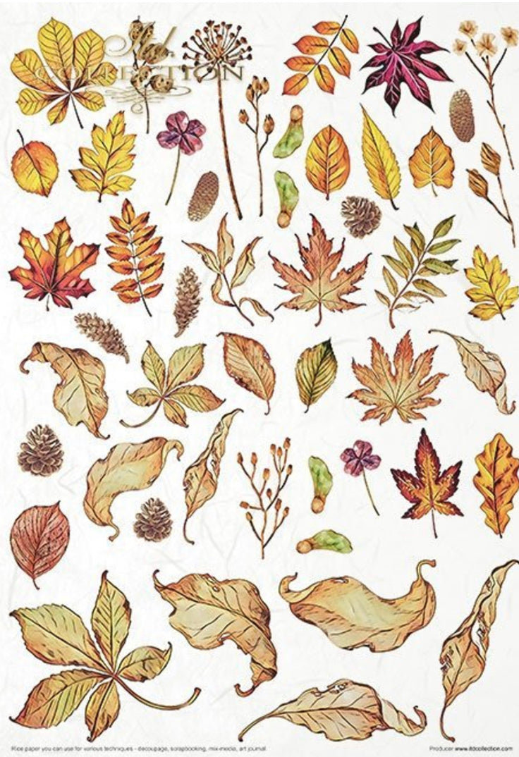 nan, rice paper design by nan, nan, for decoupage and crafting