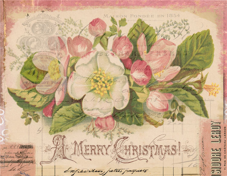 A Merry Chistmas Pink Florals (047) C520