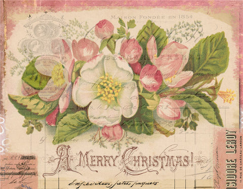 A Merry Chistmas Pink Florals - C520