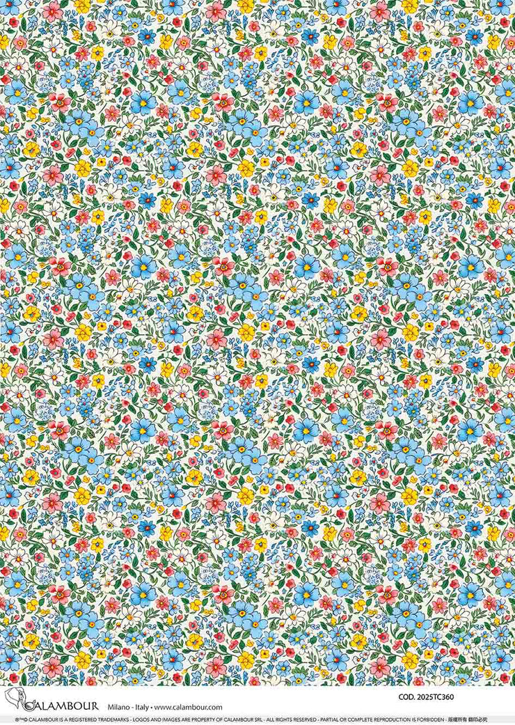 Spring Illustrated Patterned Daisies 2025TC360