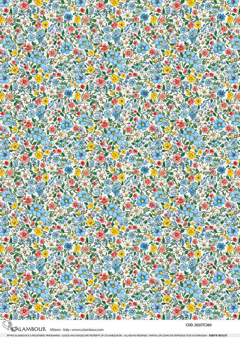 Spring Illustrated Patterned Daisies 2025TC360