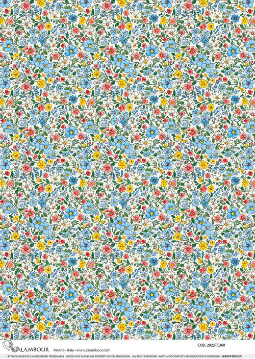 Spring Illustrated Patterned Daisies 2025TC360