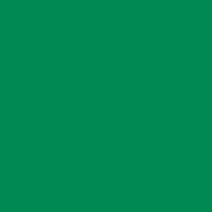 Transparent pigment 20 ml