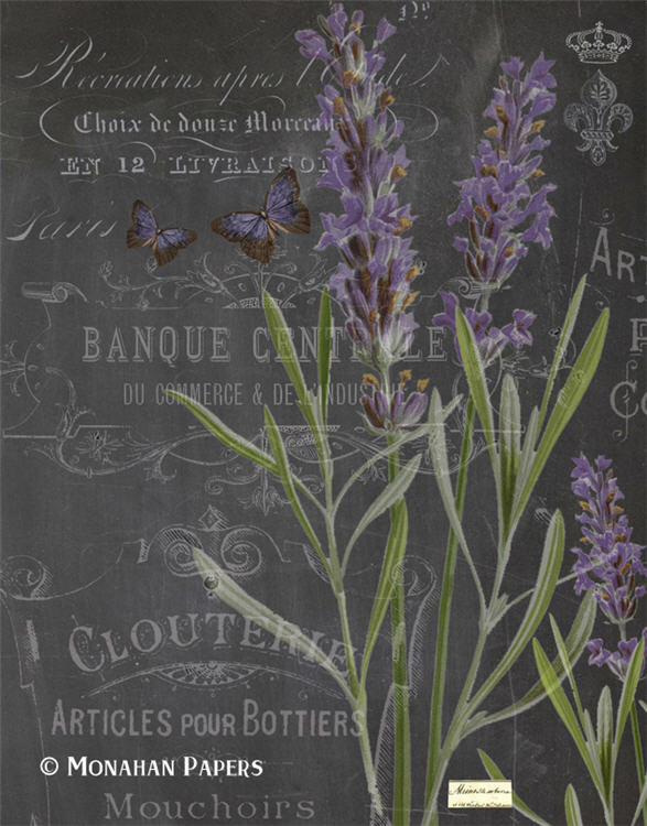 Botanical 206, lavender on black (028) BOT206