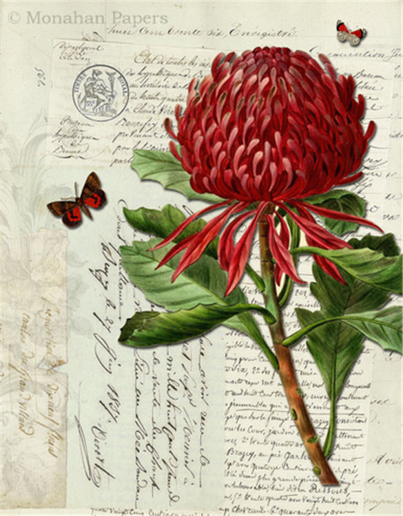 Botanical 91, red bud red butterflies (036) BOT91