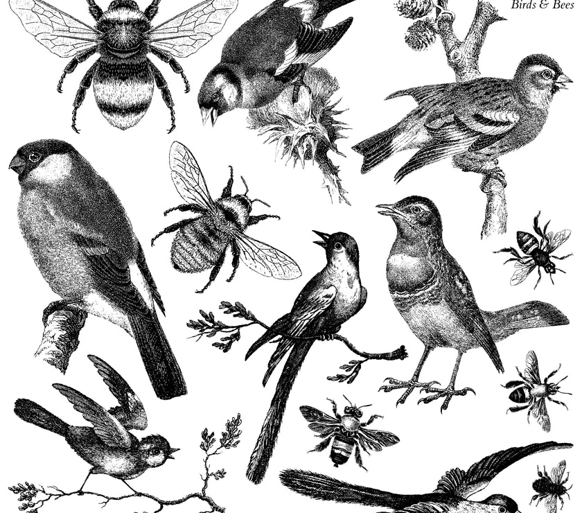 BIRDS & BEES IOD Décor Stamp