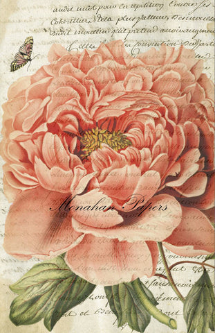 Botanical 38, large old pink rose BOT38