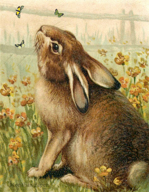 Bunny & Butterflies E84