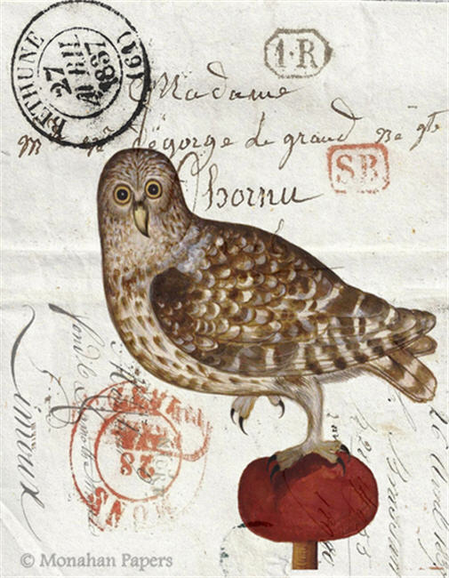 Owl on a Red Tuft (011) H18