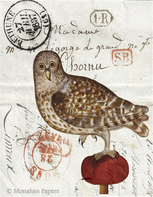 Owl on a Red Tuft H18