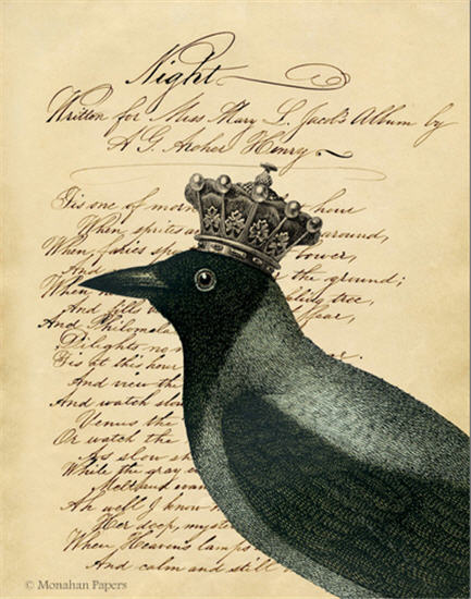 Night Crow (017) H33