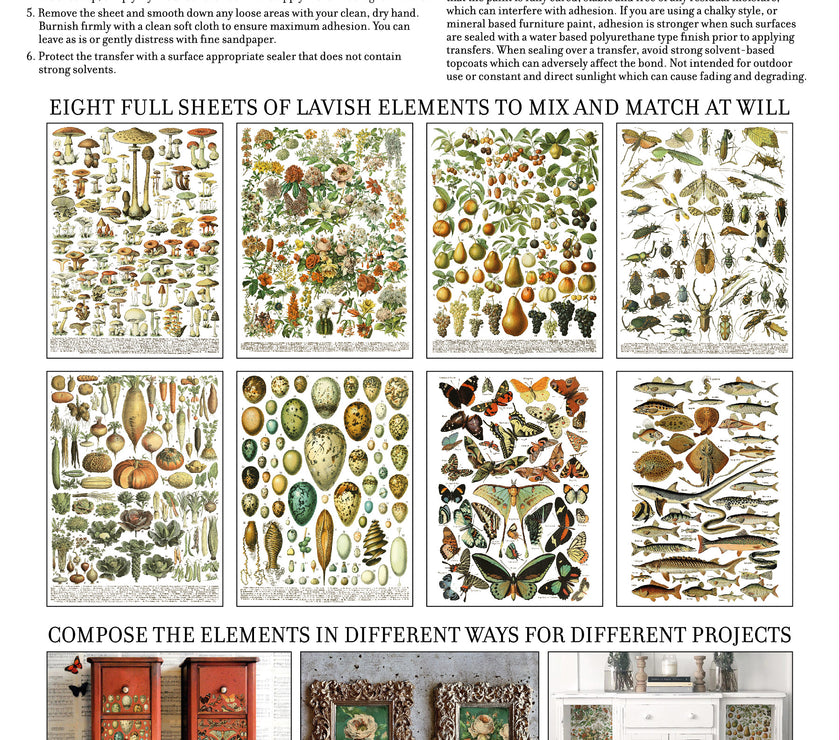 Millot's Pages IOD Transfer