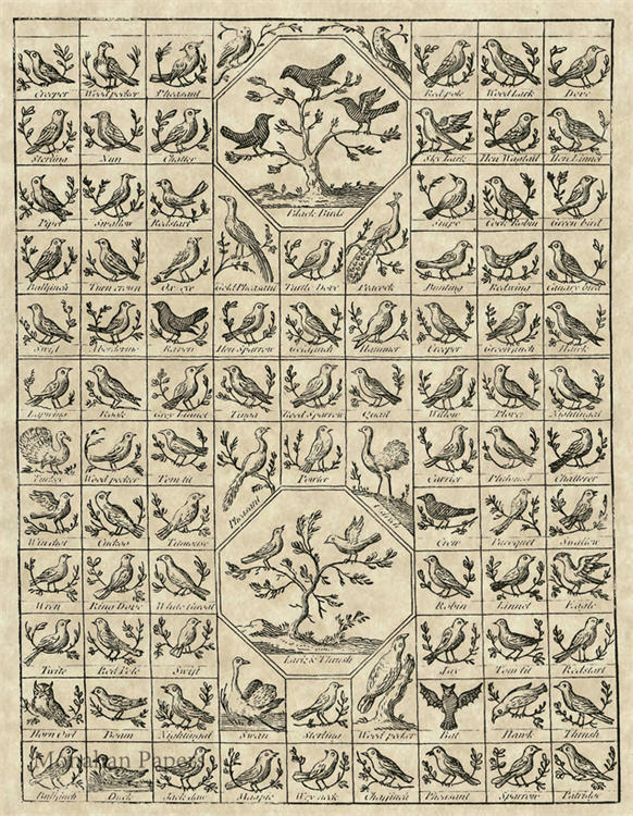 Bird Blocks (019) SPS311