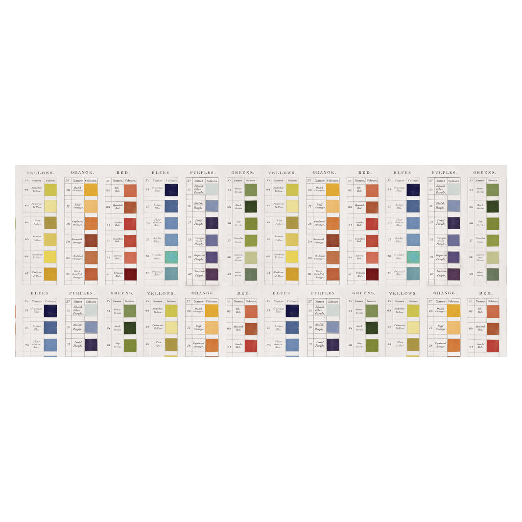 Tim Holtz Collage Paper, Palette