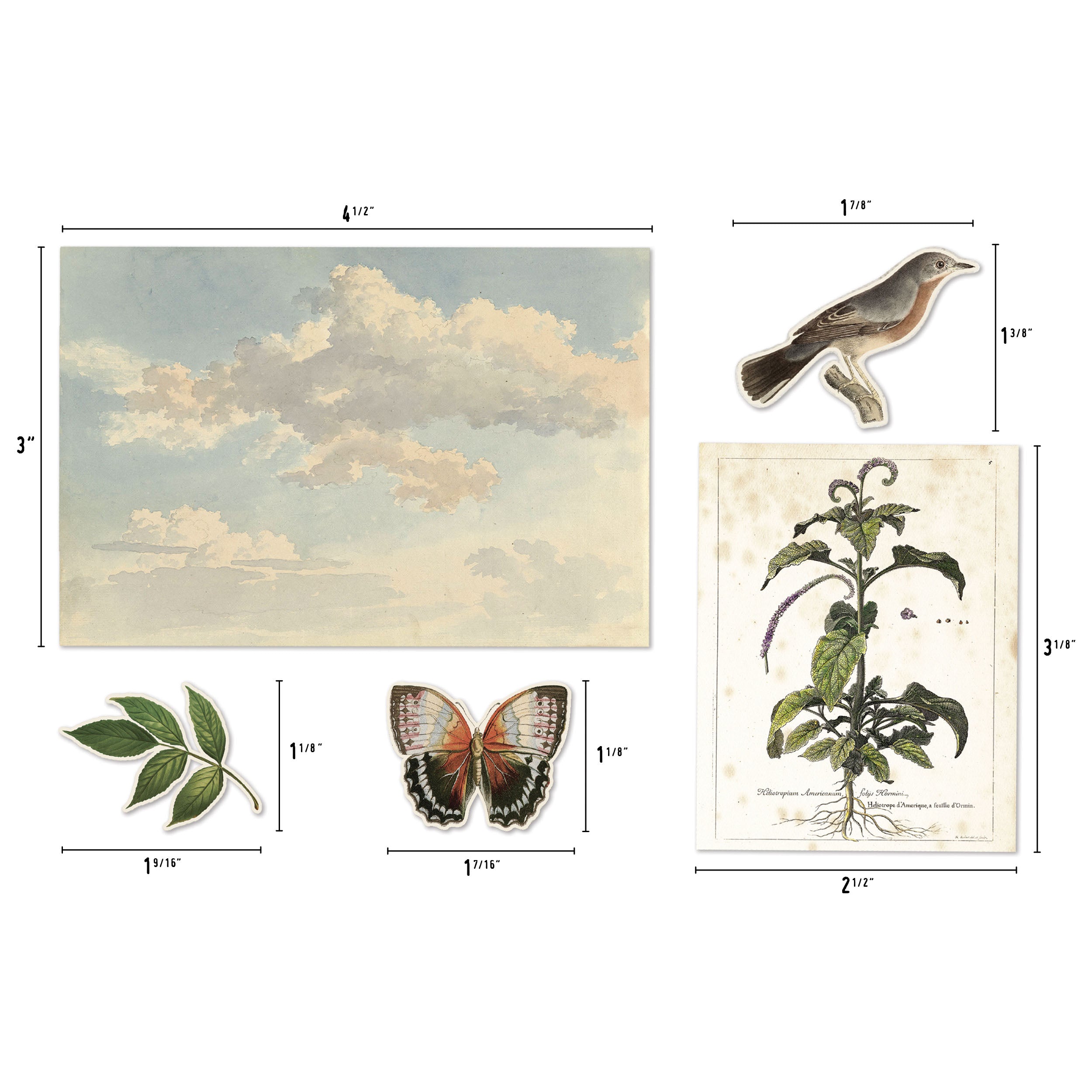 Tim Holtz Layers, Organic