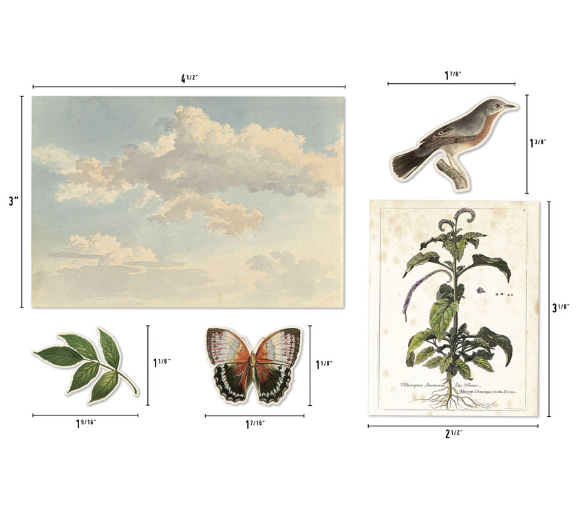 Tim Holtz Layers, Organic