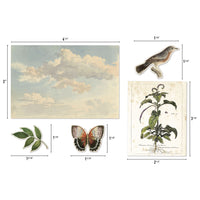 Tim Holtz Layers, Organic