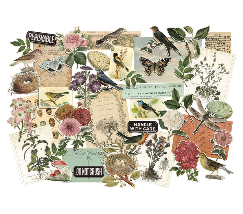 Tim Holtz Layers, Organic