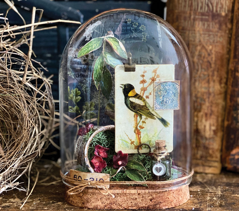 Tim Holtz Reliquary Dome