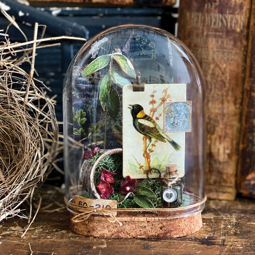 Tim Holtz Reliquary Dome