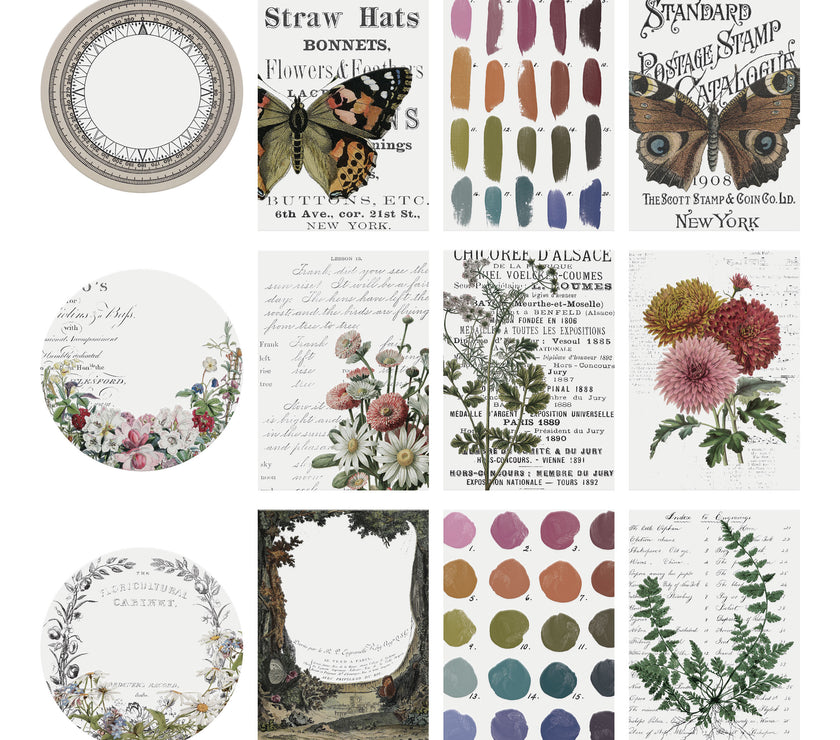 Tim Holtz Transparent Layers