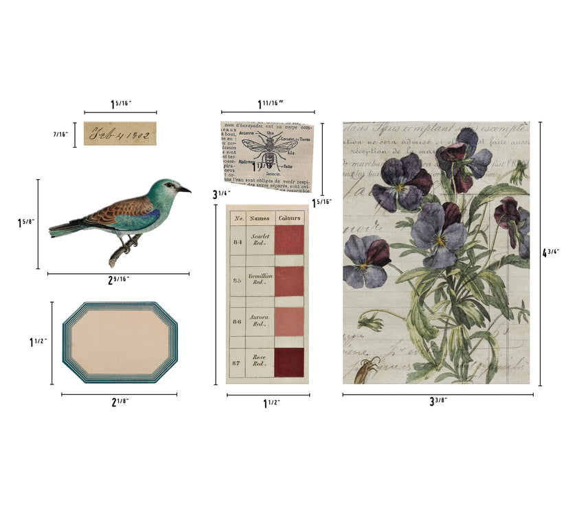 Tim Holtz Transparent Things 2