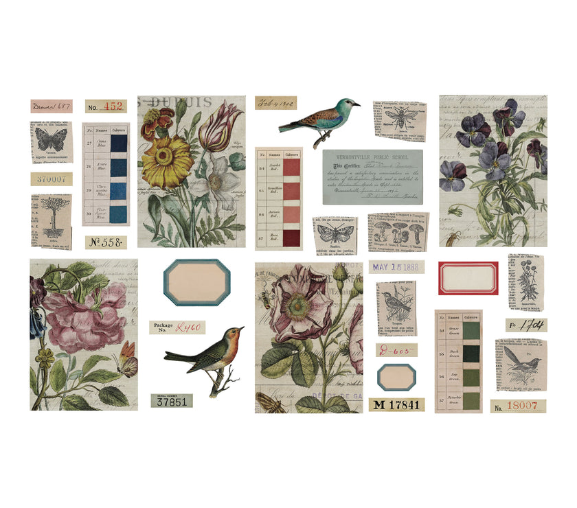 Tim Holtz Transparent Things 2