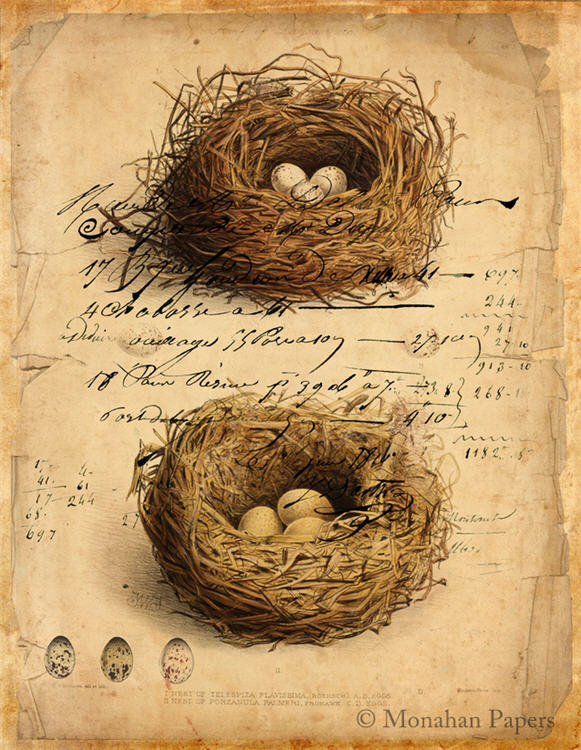 Double Nest (003) X119