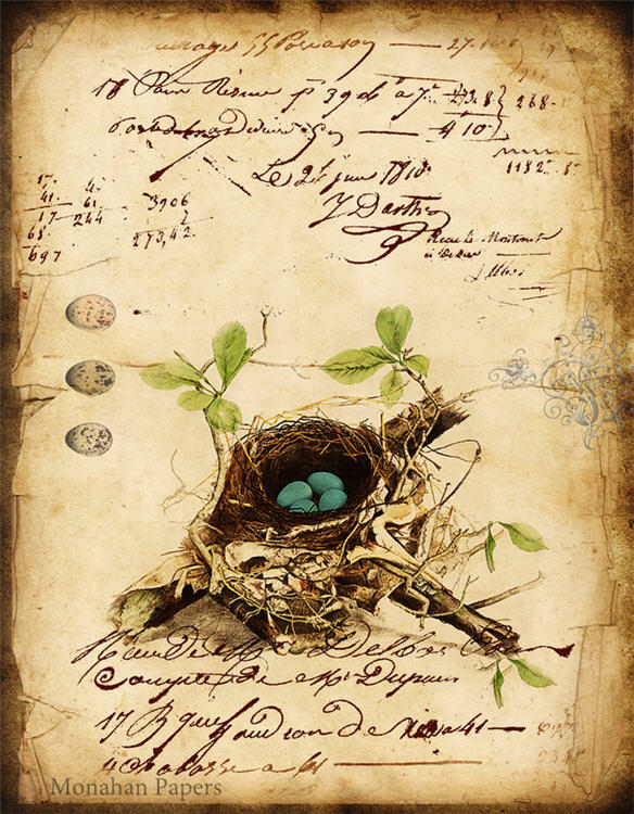 Blue Egg Nest (012) X120