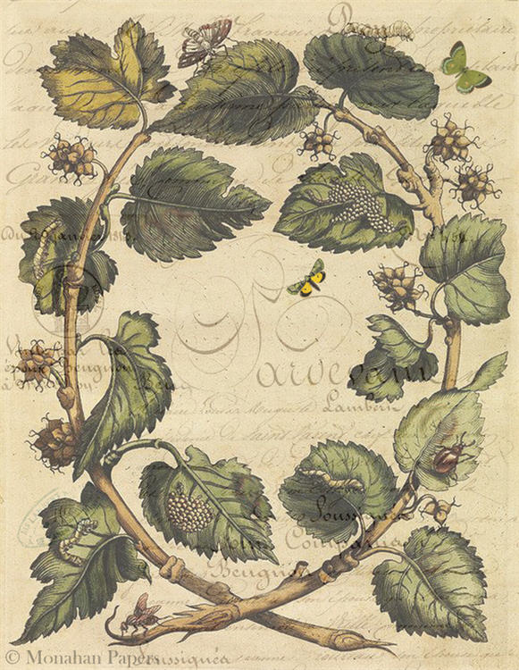 Butterfly Leaves (020) X379