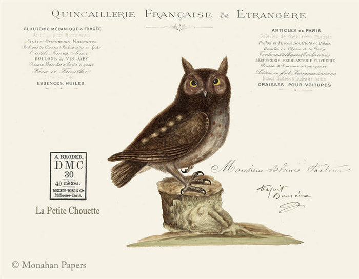 Francaise Owl (011) X490