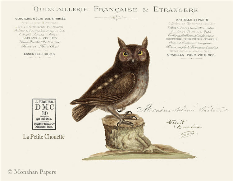 Francaise Owl (011) X490