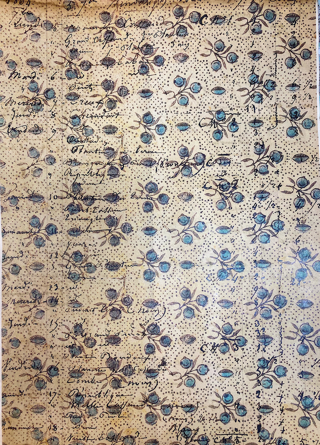 Blue Roses (042) DP6