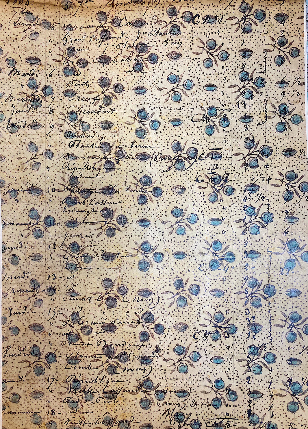 Blue Roses (042) DP6