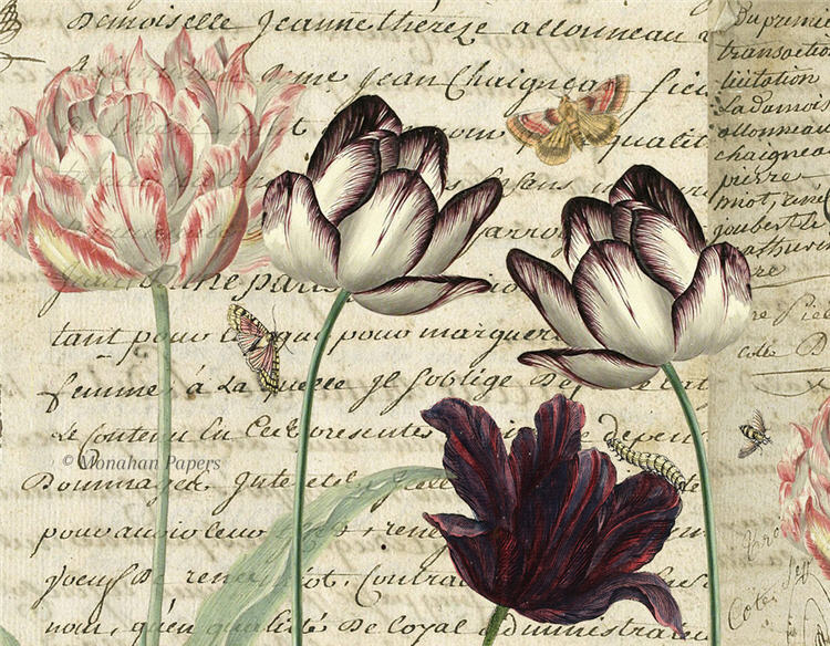Botanical 47, 4 tulips BOT47