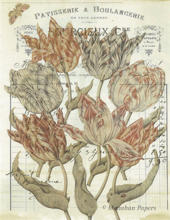 Botanical 48, Orange and brown tulips (031) BOT48