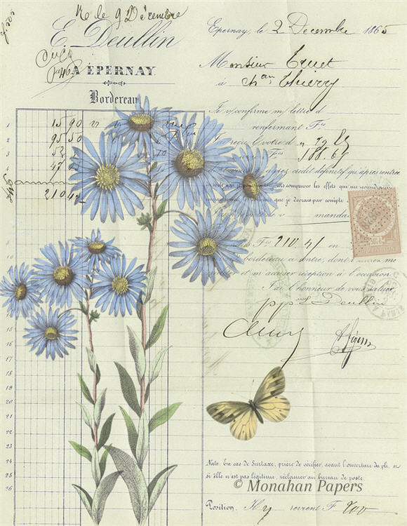 Botanical 50, blue asters (040) BOT50