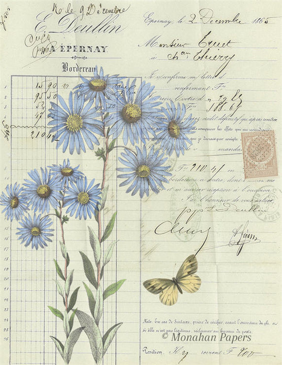 Botanical 50, blue asters (040) BOT50