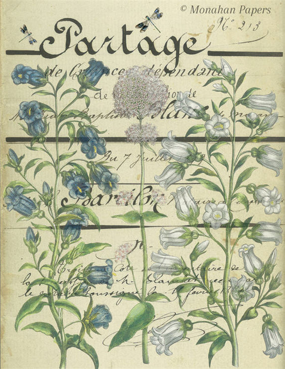 Botanical 52, blue and white campanula (040) BOT52