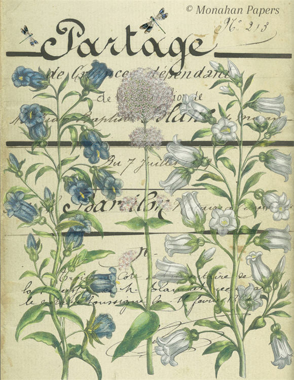 Botanical 52, blue and white campanula (040) BOT52