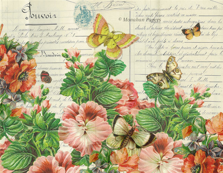Botanical 58, pink pansies with butterflies
