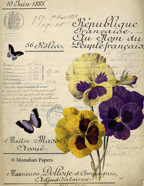 Botanical 64, purple pansies (035) BOT64