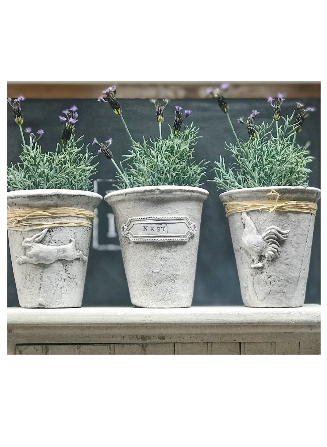 Fleur de Lis IOD Décor Mould