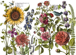 Botanists Journal IOD Transfer