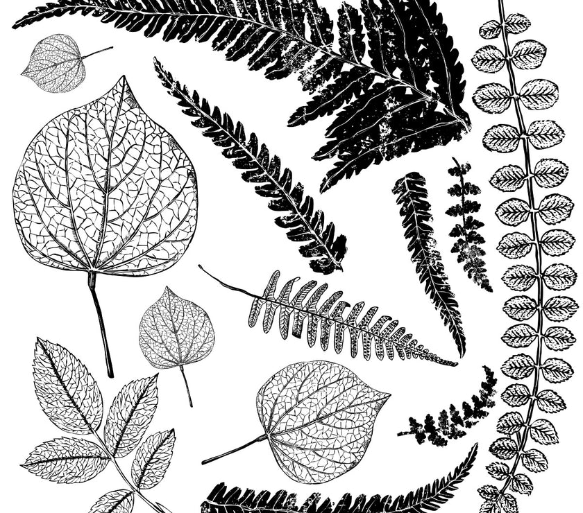 Fronds Decor IOD Décor Stamp